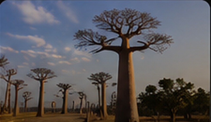 Toliara Madagascar